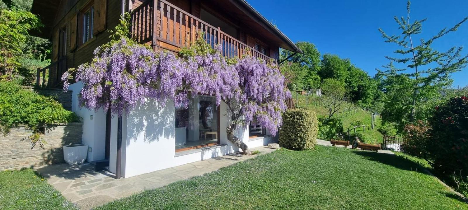 Chalet Sophie - Luxury Chalet Roletto Extérieur photo